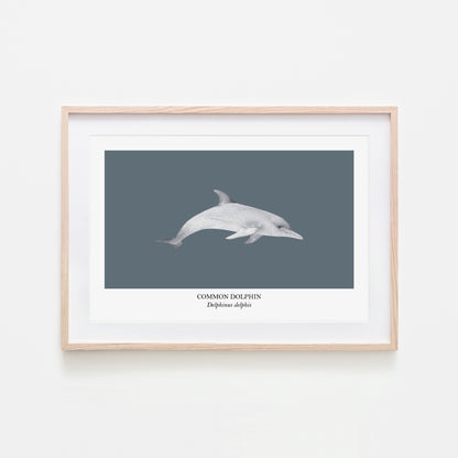 Dolphin-Watercolour-Sea-Creature-Wall-Art-in-Sky-Blue