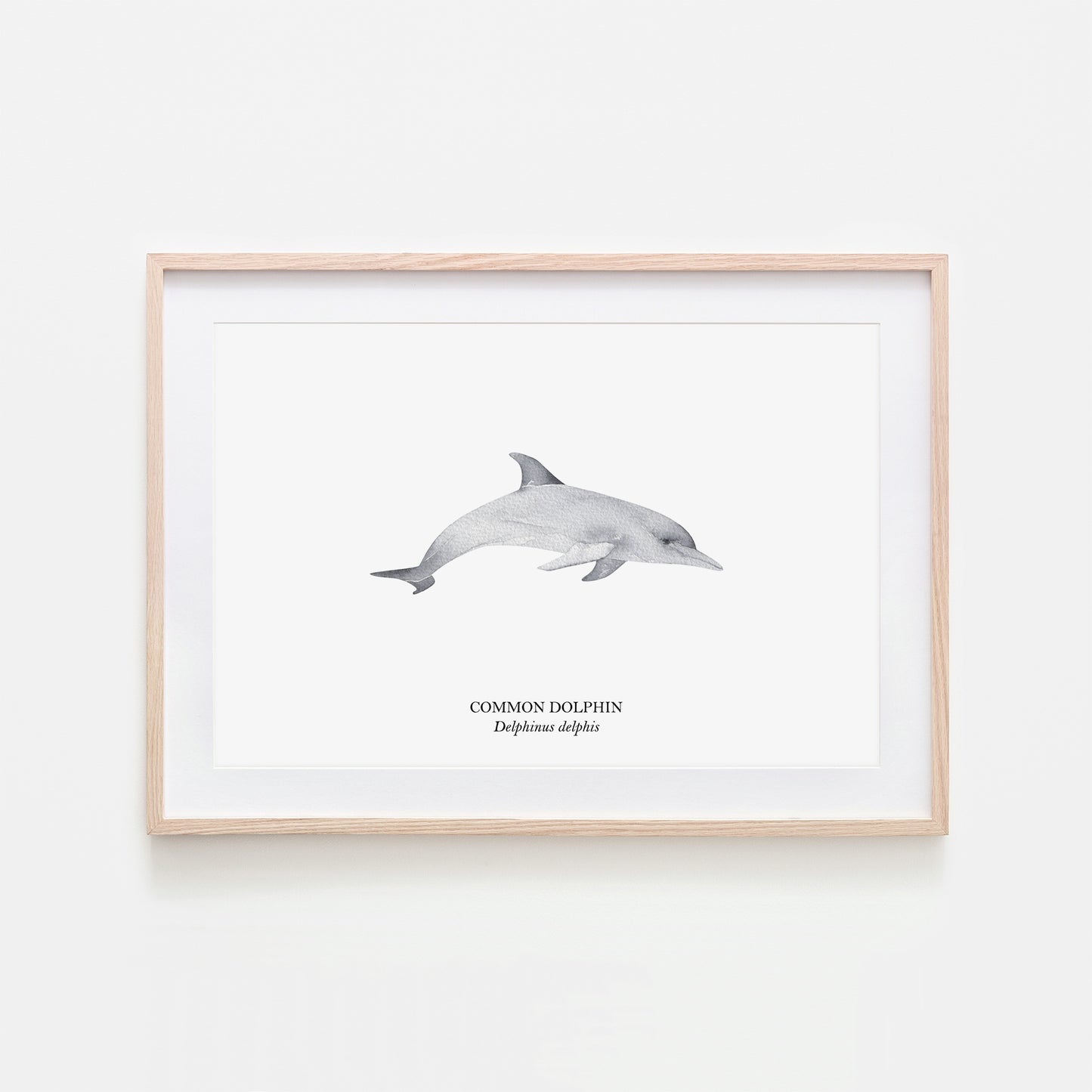 Dolphin-Watercolour-Sea-Creature-Wall-Art-in-White