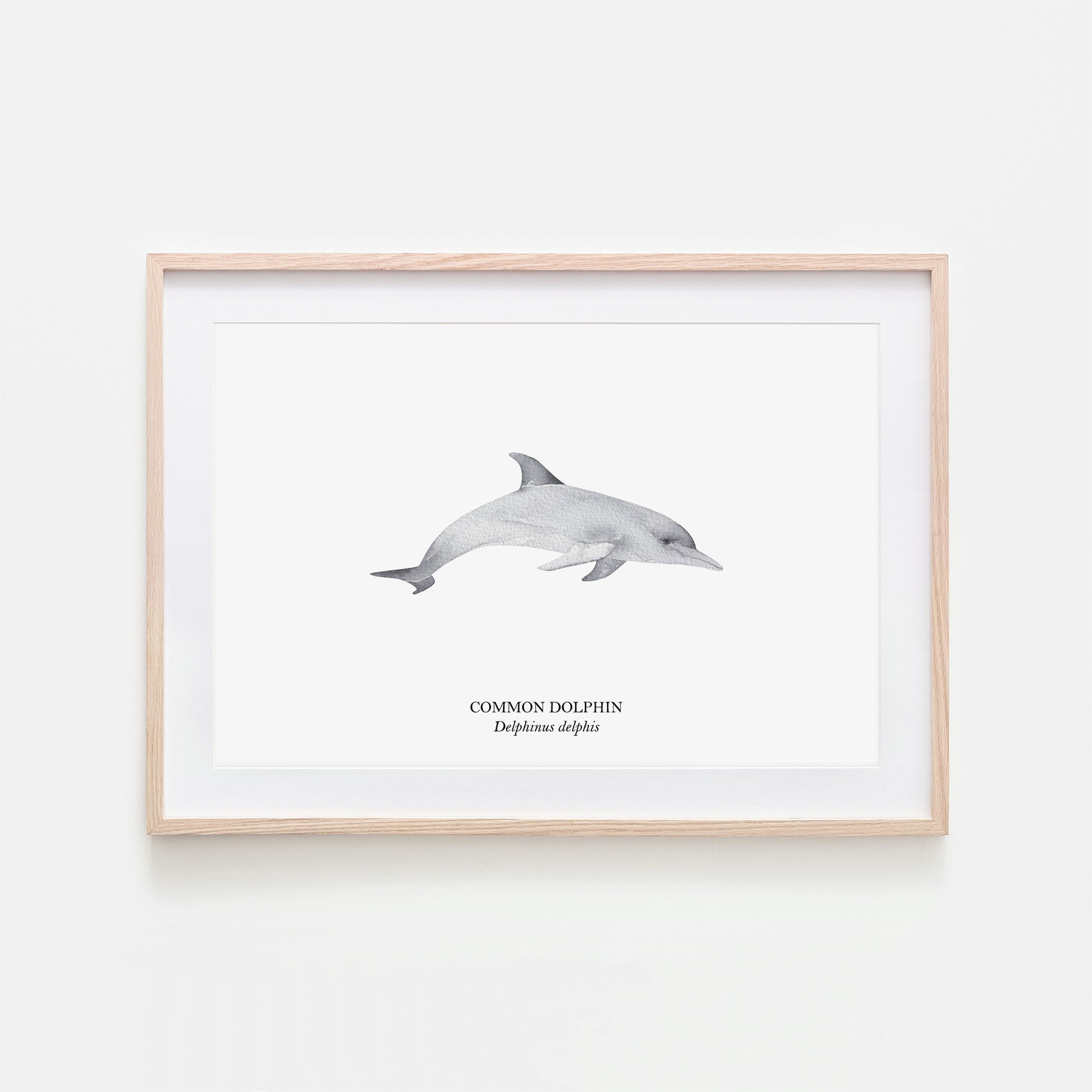 Dolphin-Watercolour-Sea-Creature-Wall-Art-in-White