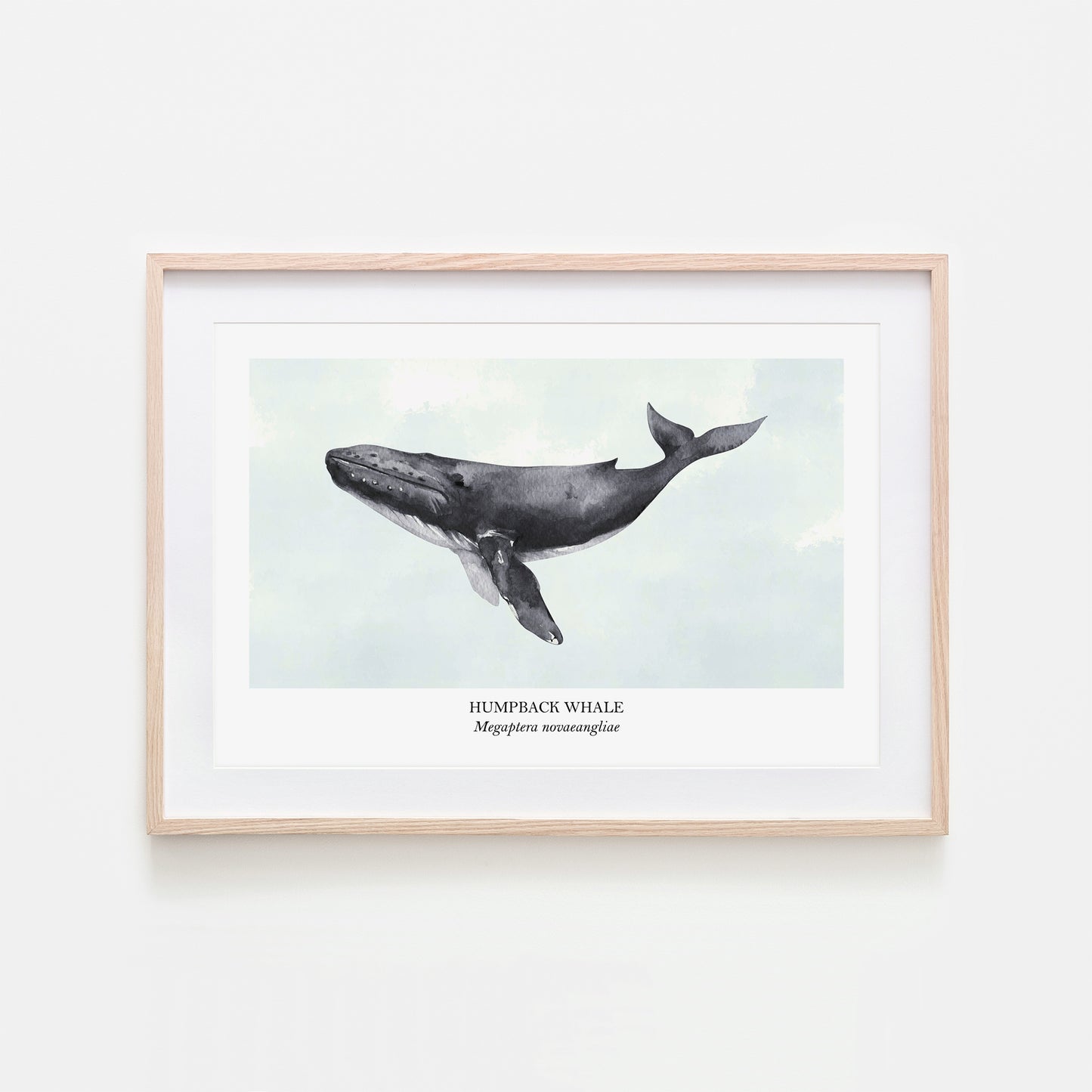 Humpback-Whale-Watercolour-Sea-Creature-Wall-Art-in-Cloudy