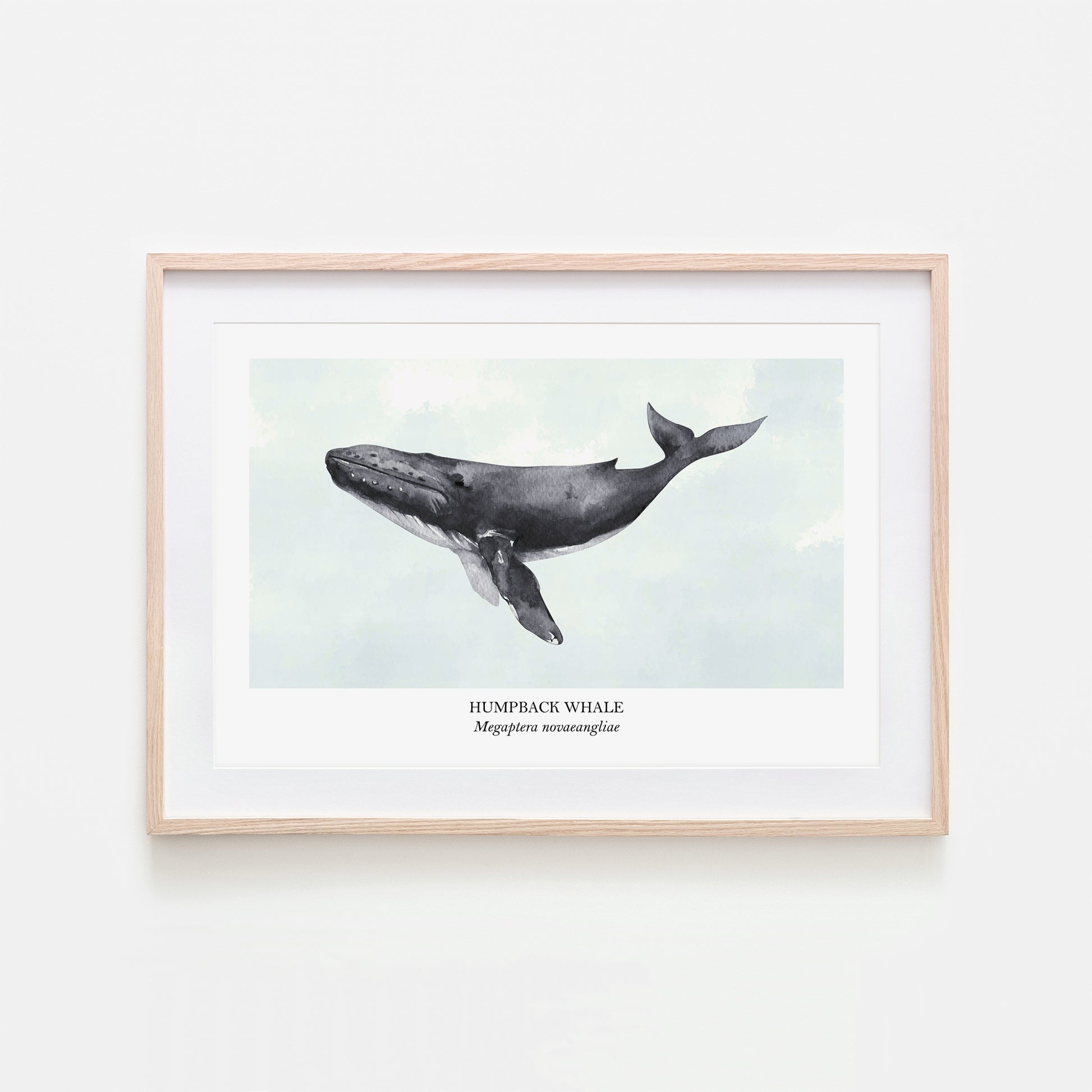 Humpback-Whale-Watercolour-Sea-Creature-Wall-Art-in-Cloudy