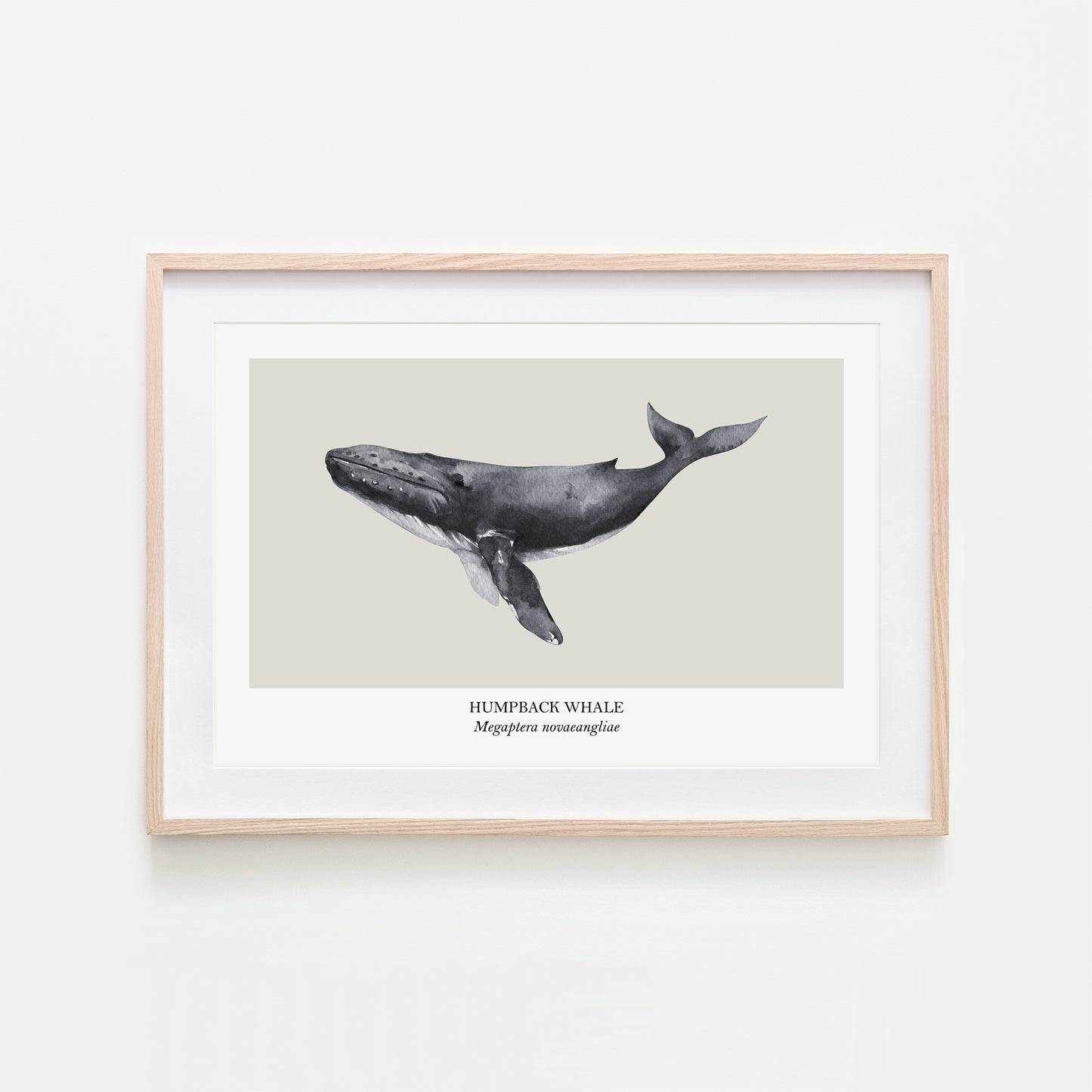 Humpback-Whale-Watercolour-Sea-Creature-Wall-Art-in-Linen