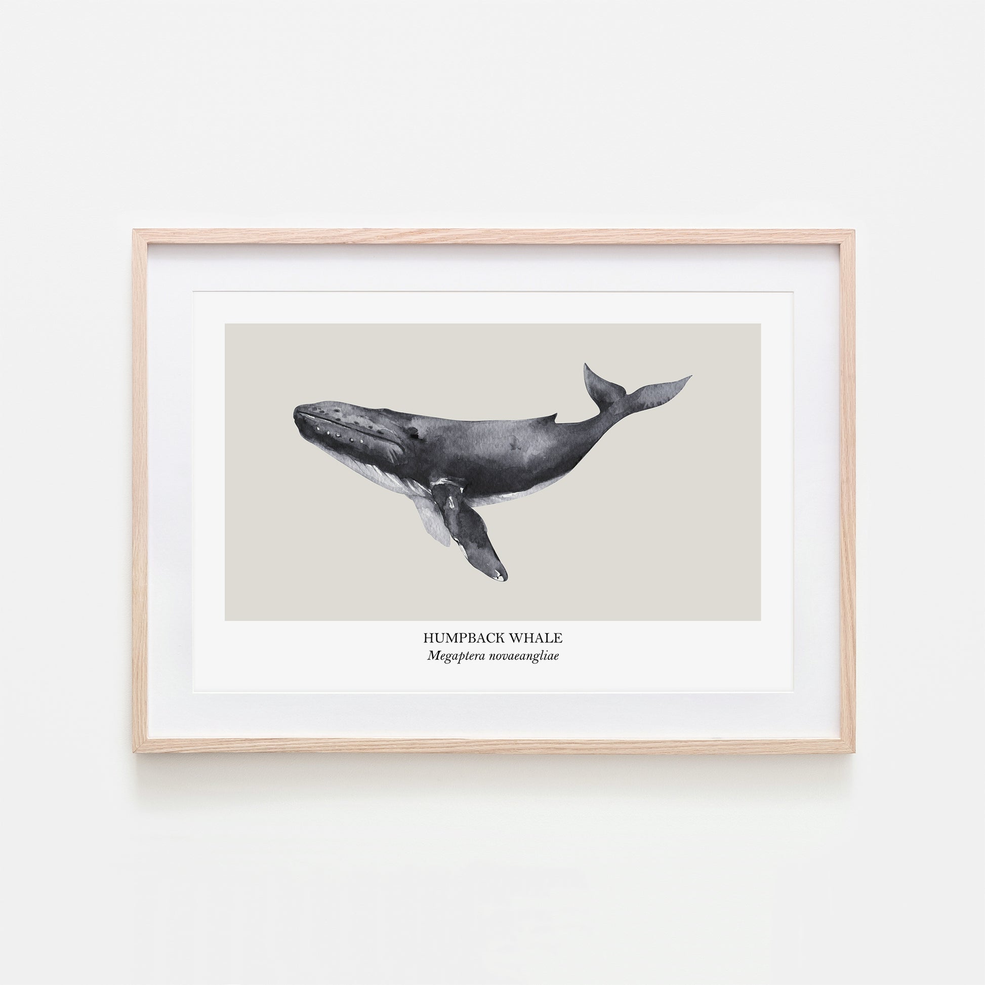 Humpback-Whale-Watercolour-Sea-Creature-Wall-Art-in-Linen