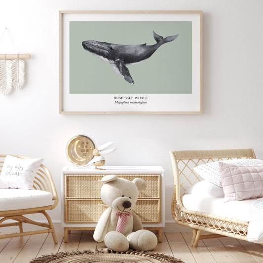 Humpback-Whale-Watercolour-Sea-Creature-Wall-Art-in-Mist-Green-Website-Main-Image