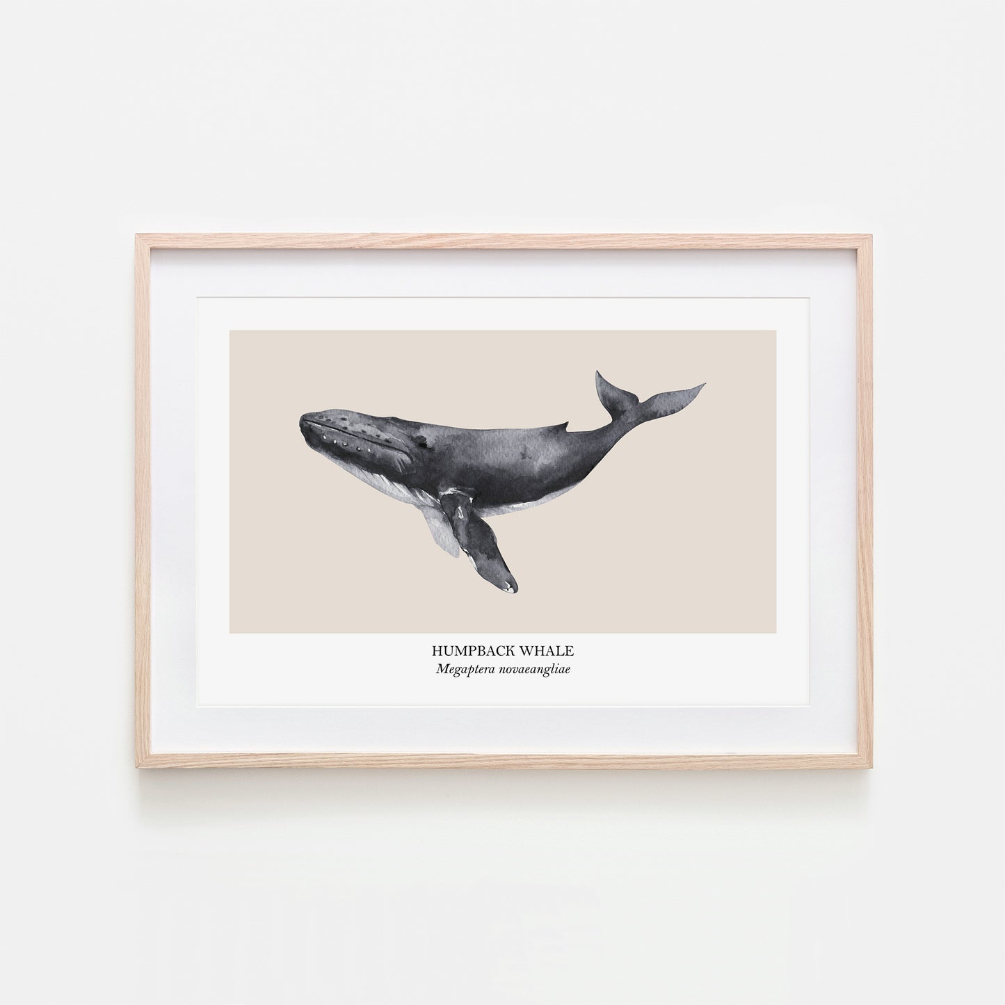 Humpback-Whale-Watercolour-Sea-Creature-Wall-Art-in-Sand