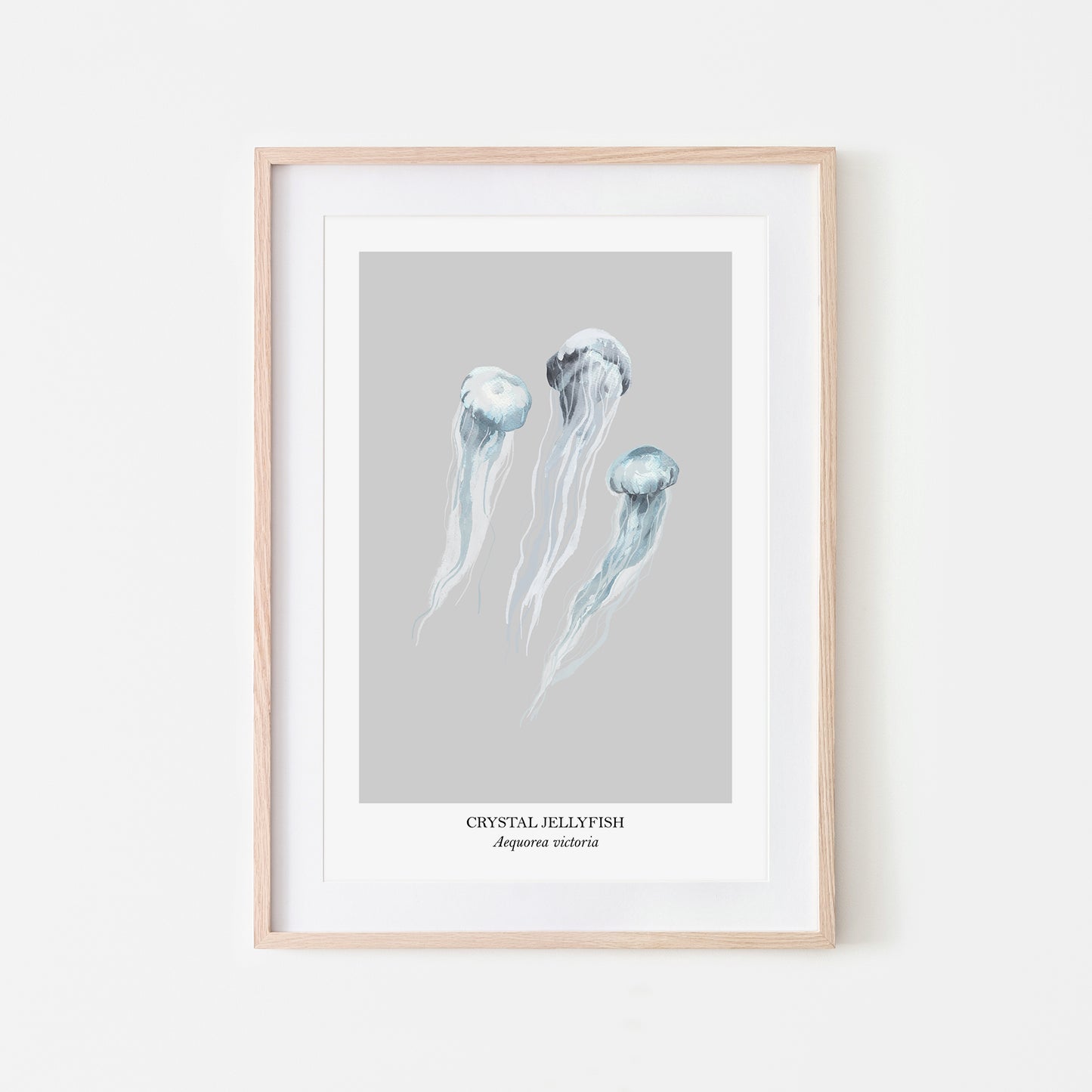 Jellyfish-Watercolour-Sea-Creature-Wall-Art-in-Bone-Grey