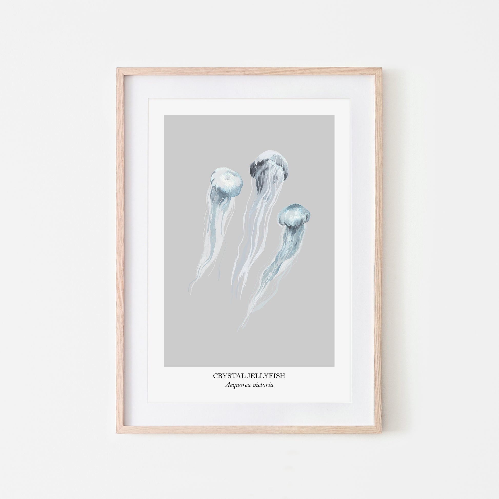 Jellyfish-Watercolour-Sea-Creature-Wall-Art-in-Bone-Grey
