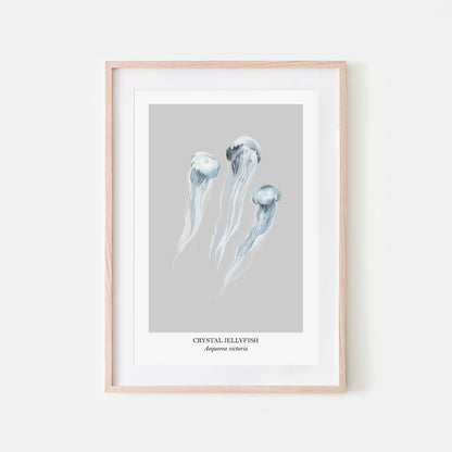 Jellyfish-Watercolour-Sea-Creature-Wall-Art-in-Bone-Grey