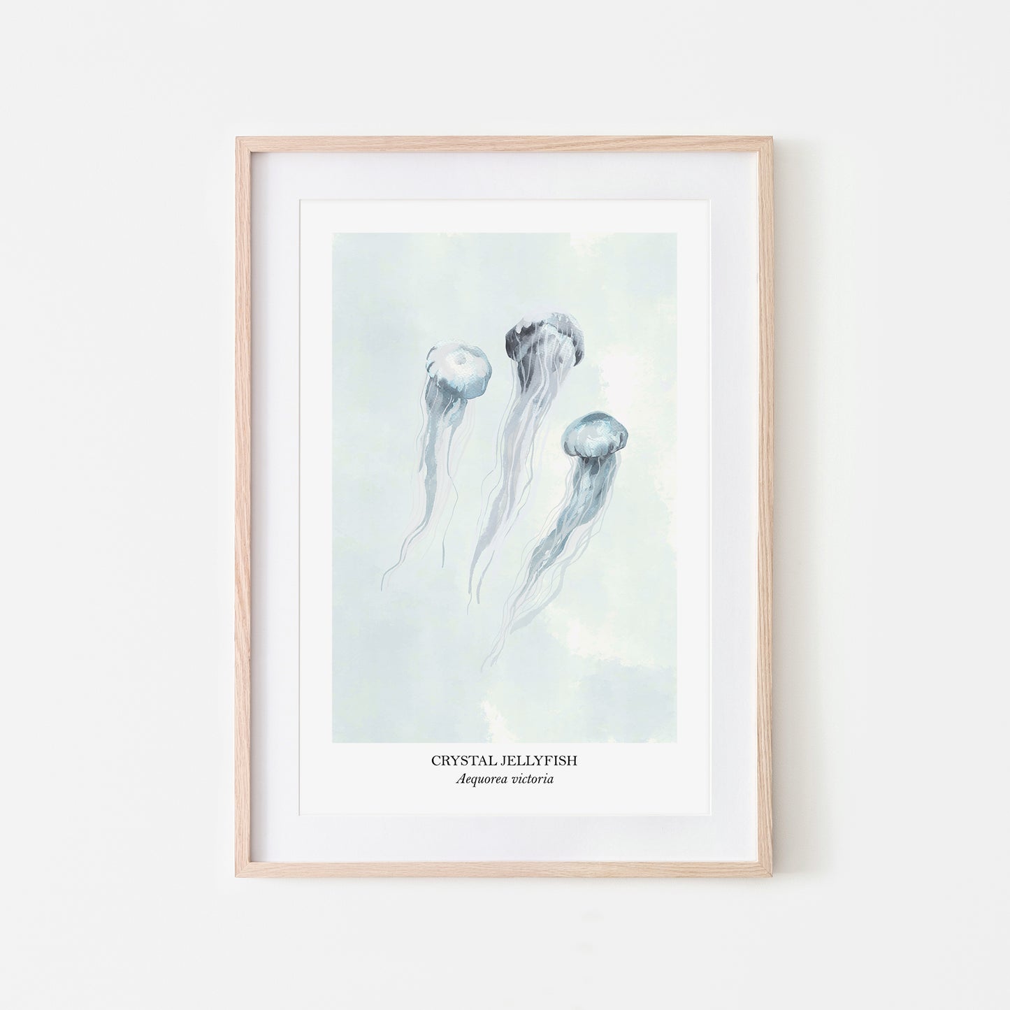Jellyfish-Watercolour-Sea-Creature-Wall-Art-in-Cloudy
