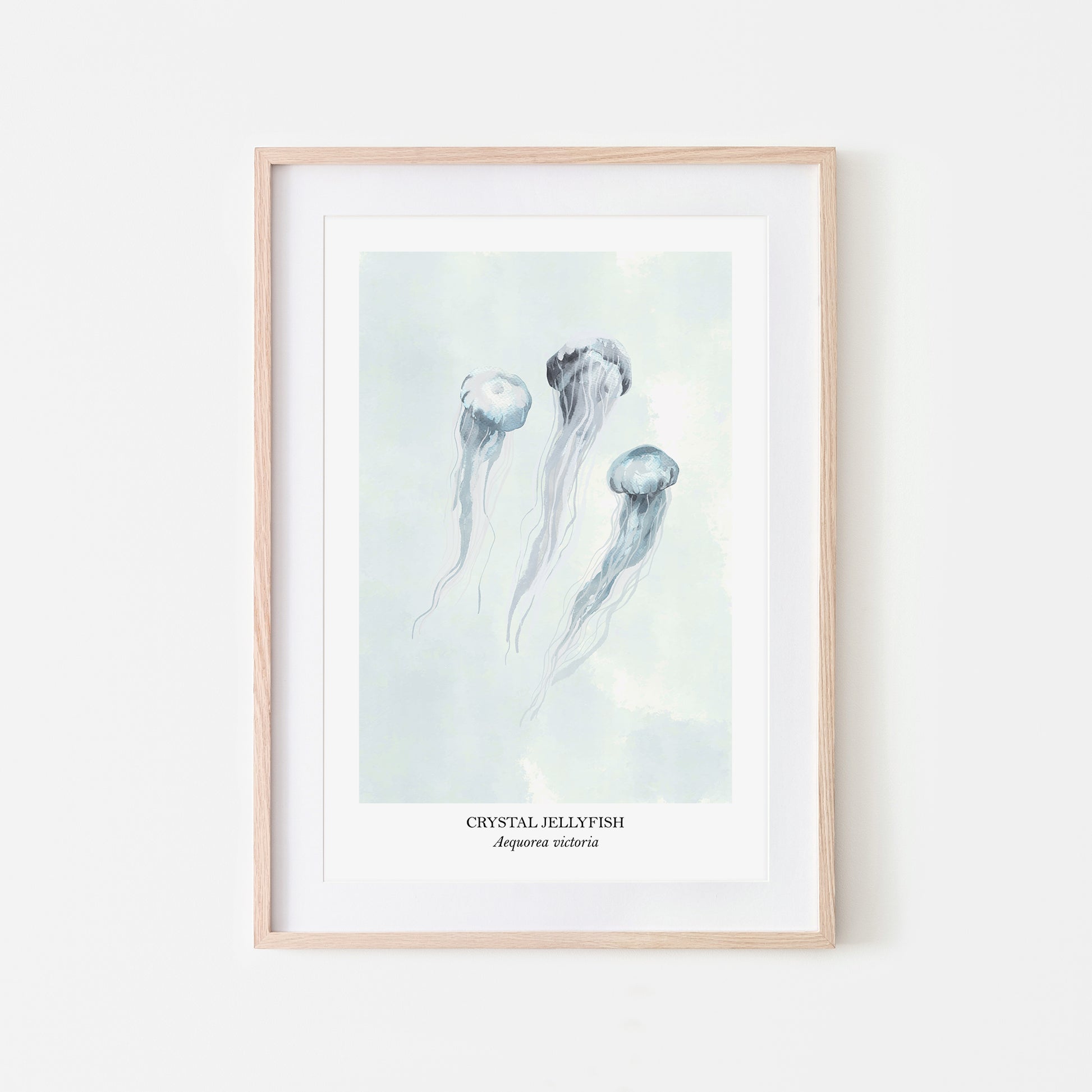Jellyfish-Watercolour-Sea-Creature-Wall-Art-in-Cloudy