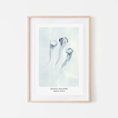 Jellyfish-Watercolour-Sea-Creature-Wall-Art-in-Cloudy