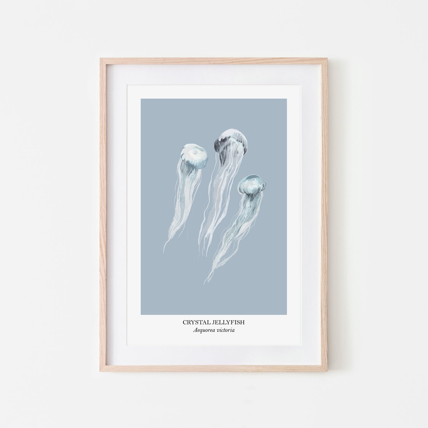 Jellyfish-Watercolour-Sea-Creature-Wall-Art-in-Fog-Blue