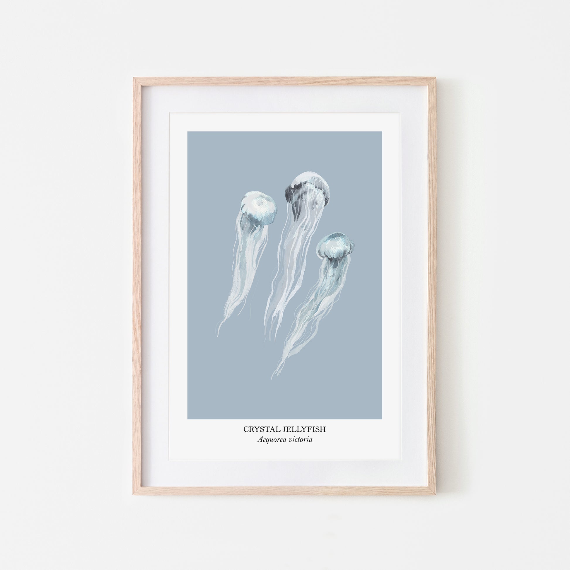 Jellyfish-Watercolour-Sea-Creature-Wall-Art-in-Fog-Blue