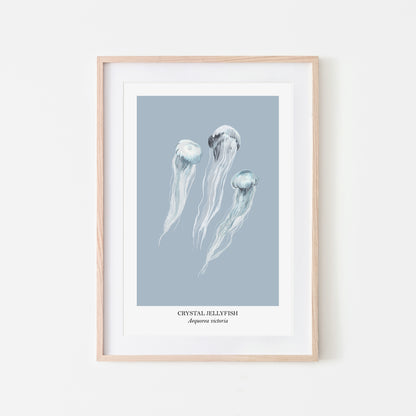 Jellyfish-Watercolour-Sea-Creature-Wall-Art-in-Fog-Blue