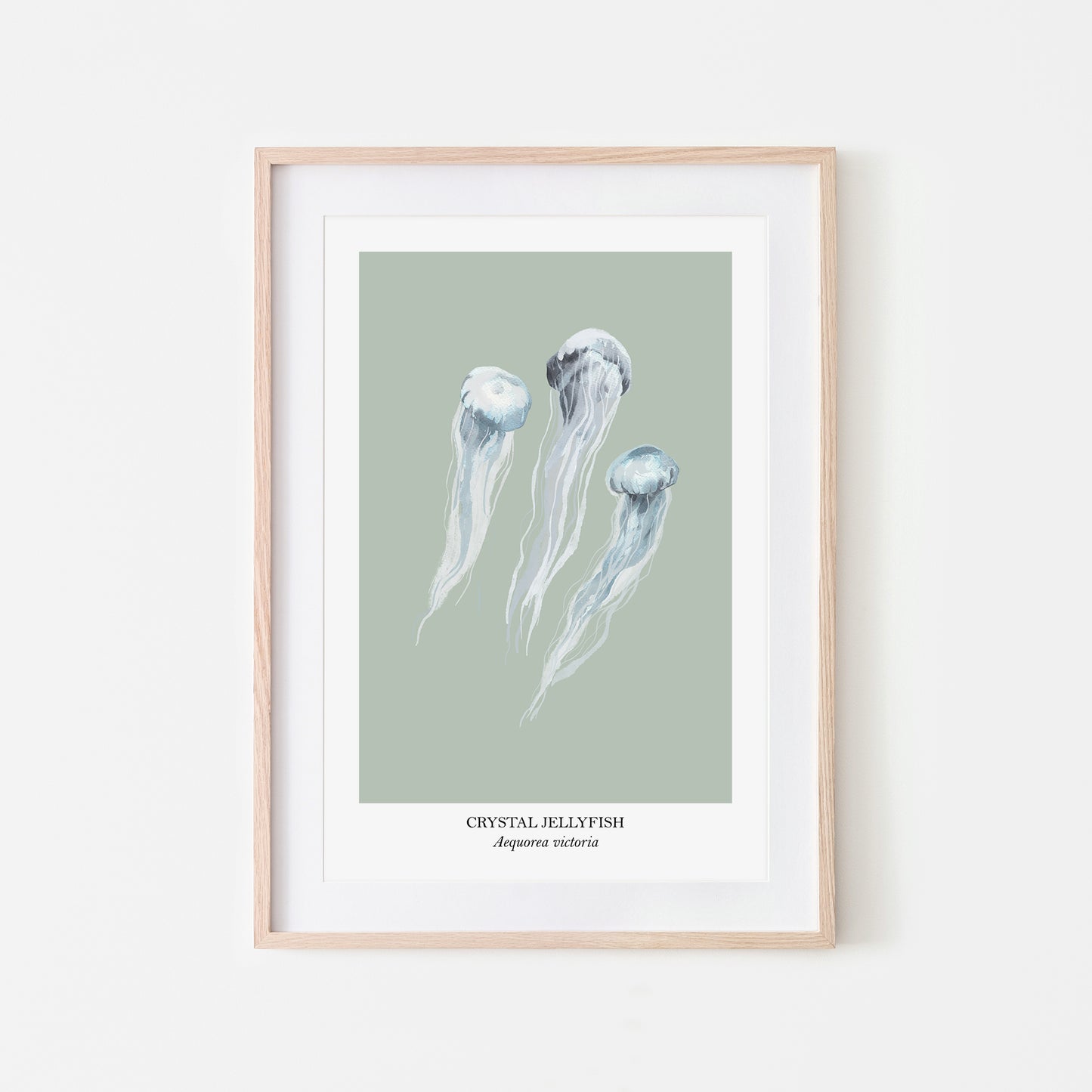 Jellyfish-Watercolour-Sea-Creature-Wall-Art-in-Mist-Green