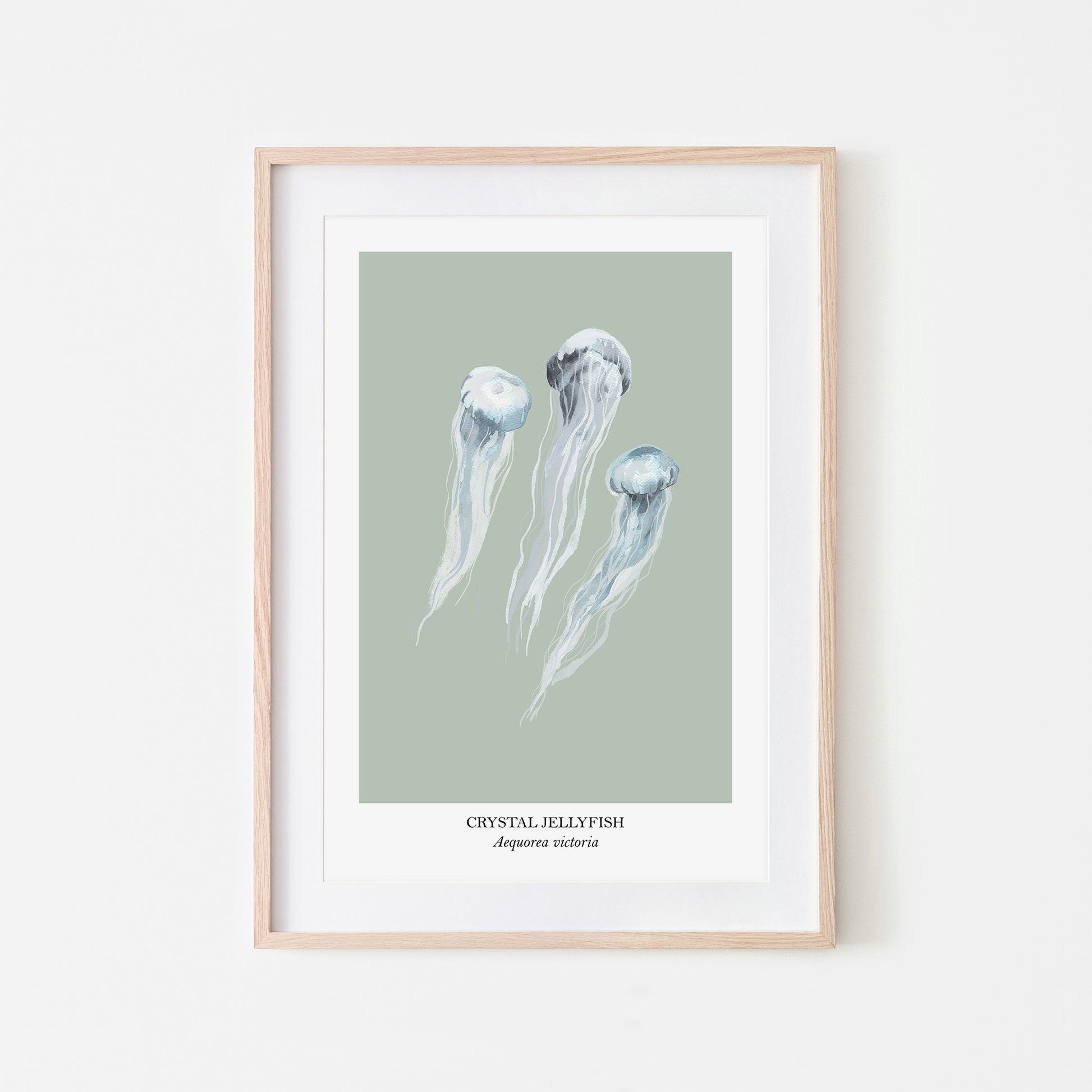Jellyfish-Watercolour-Sea-Creature-Wall-Art-in-Mist-Green