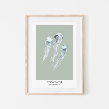 Jellyfish-Watercolour-Sea-Creature-Wall-Art-in-Mist-Green