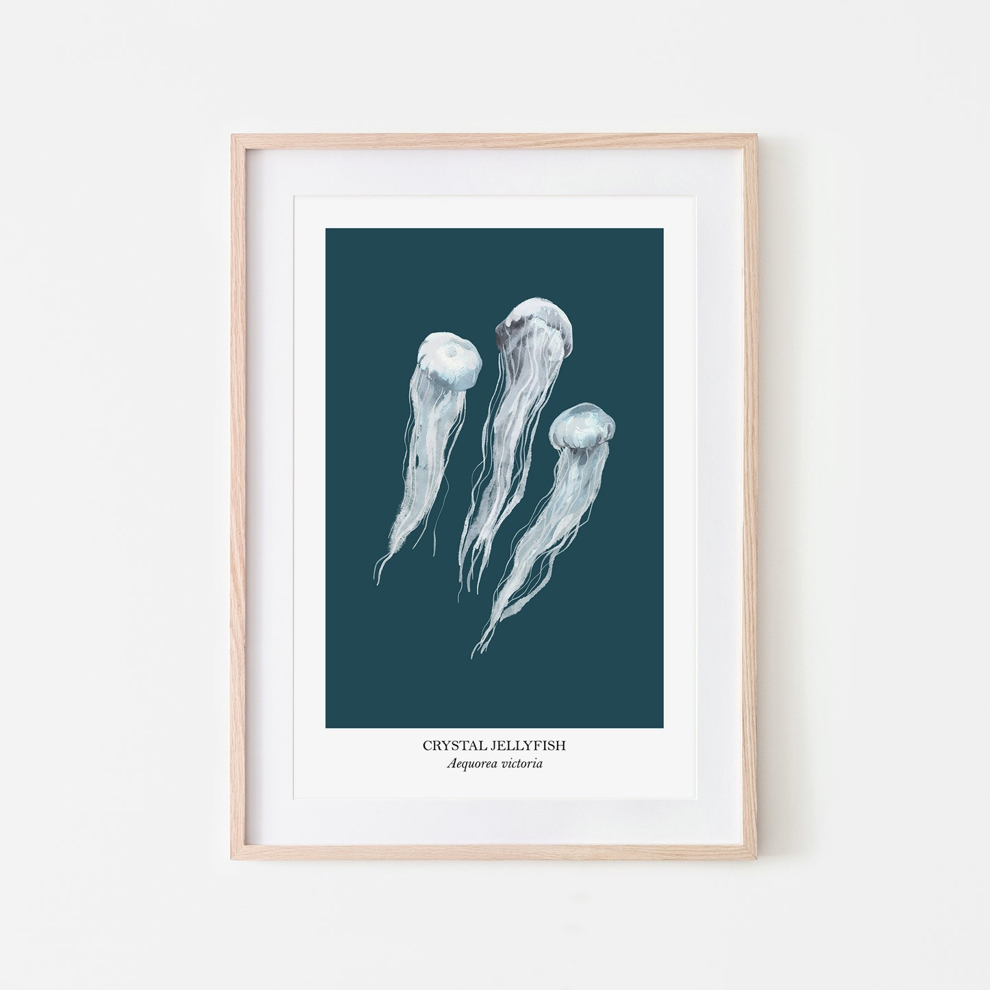 Jellyfish-Watercolour-Sea-Creature-Wall-Art-in-Navy-Blue