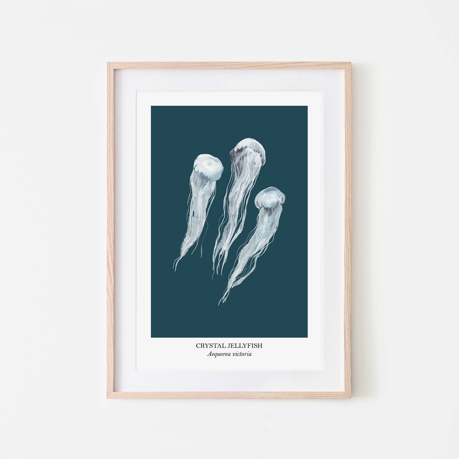 Jellyfish-Watercolour-Sea-Creature-Wall-Art-in-Navy-Blue