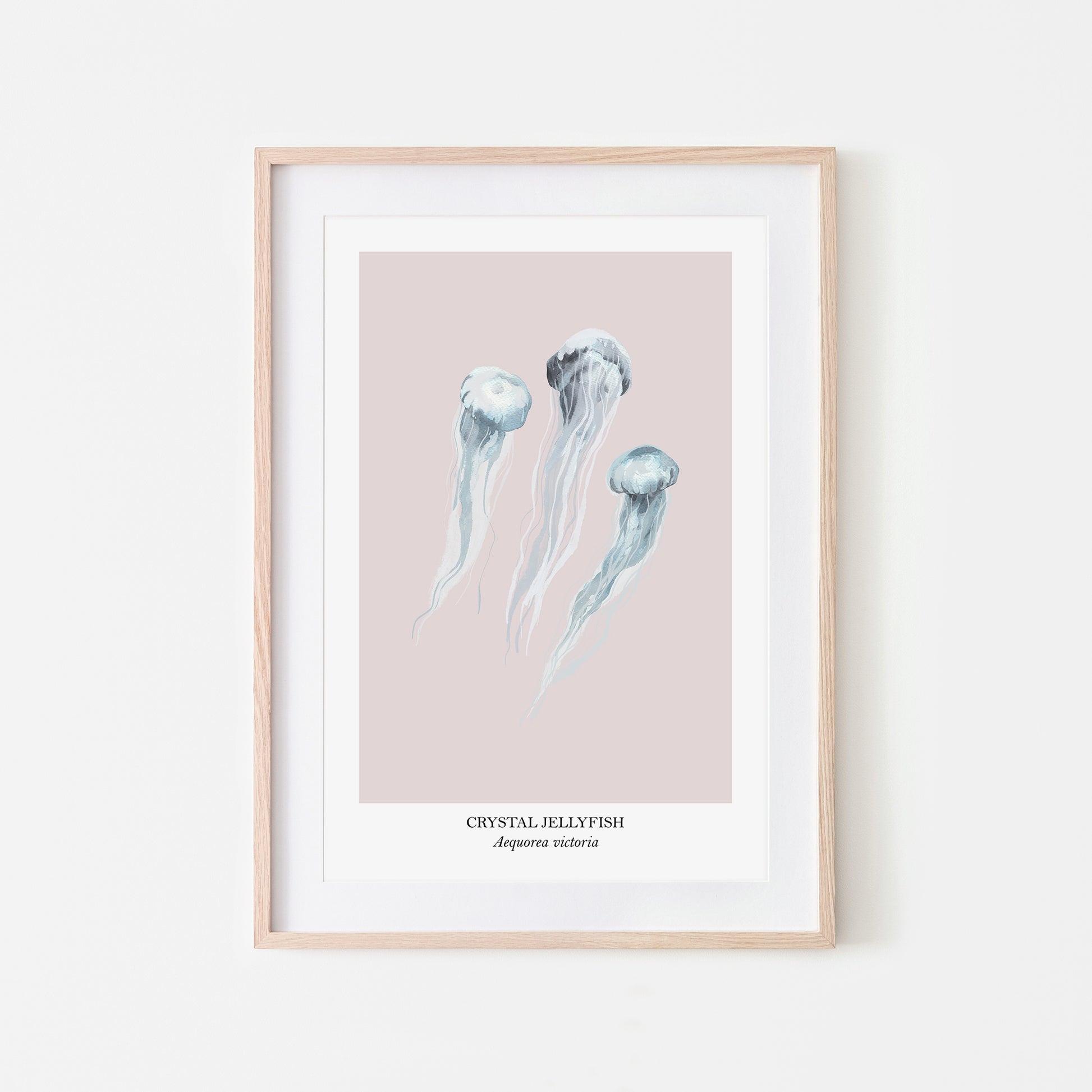 Jellyfish-Watercolour-Sea-Creature-Wall-Art-in-Pointe-Pink