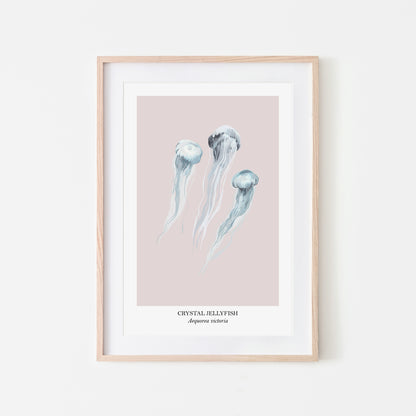 Jellyfish-Watercolour-Sea-Creature-Wall-Art-in-Pointe-Pink
