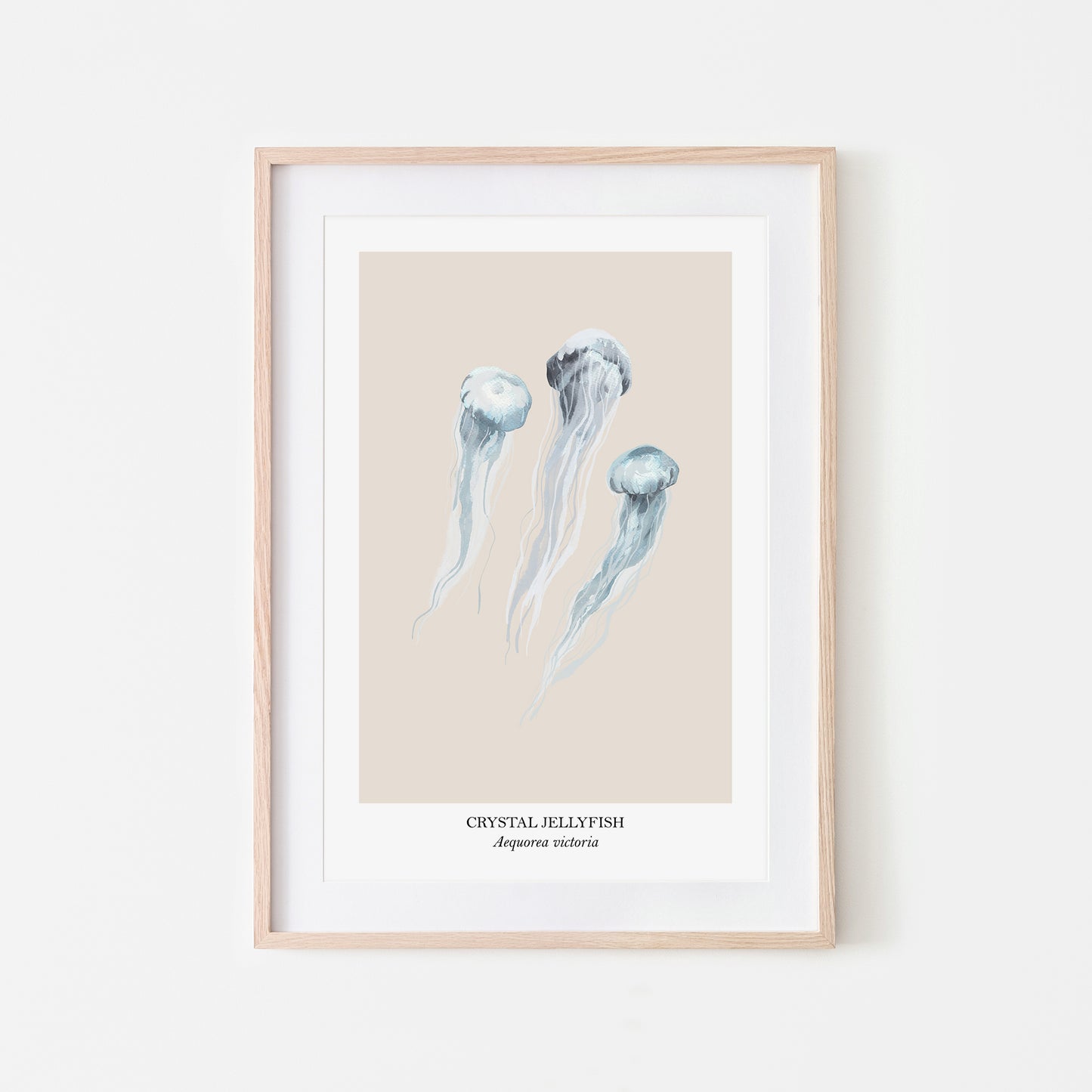 Jellyfish-Watercolour-Sea-Creature-Wall-Art-in-Sand