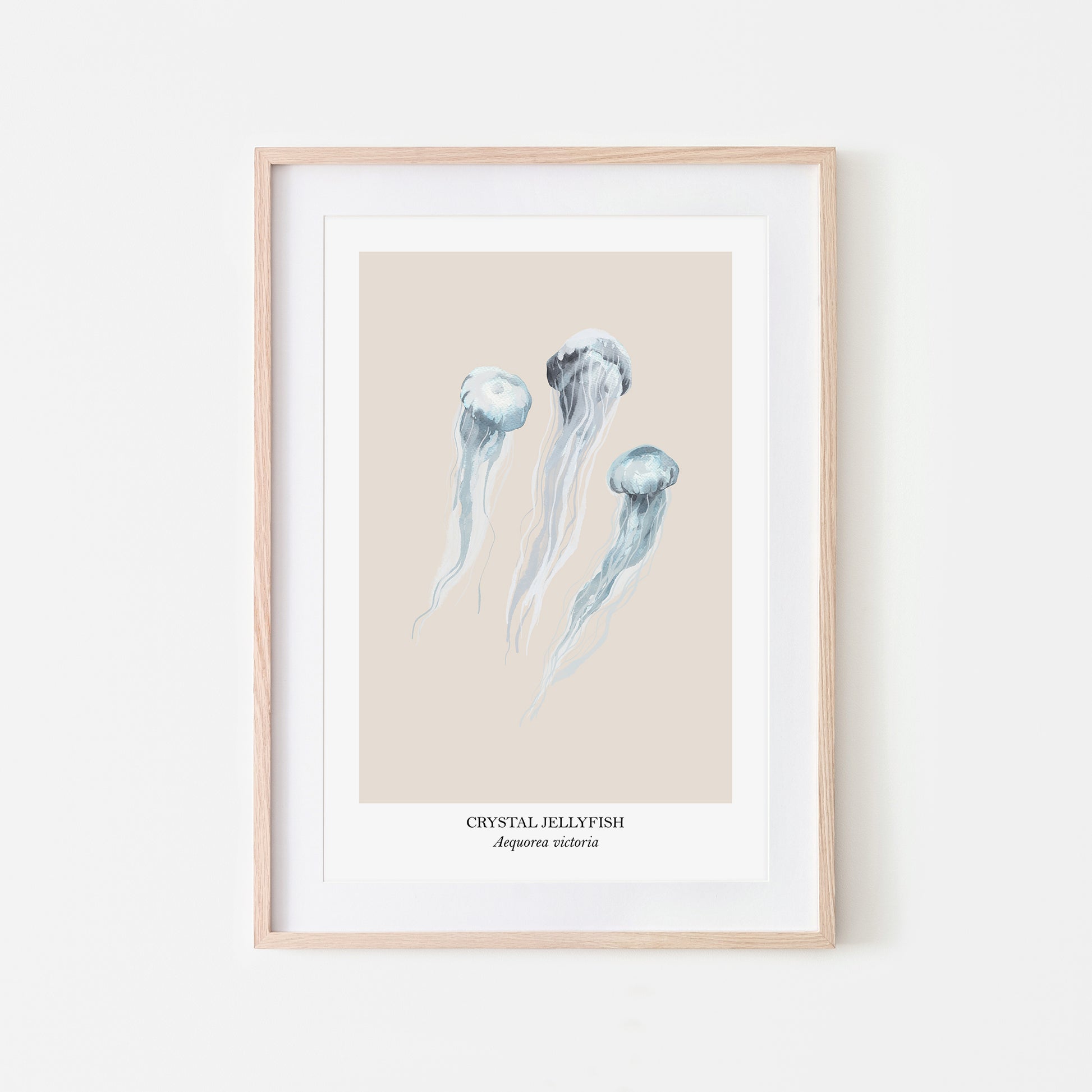 Jellyfish-Watercolour-Sea-Creature-Wall-Art-in-Sand