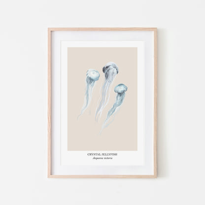 Jellyfish-Watercolour-Sea-Creature-Wall-Art-in-Sand
