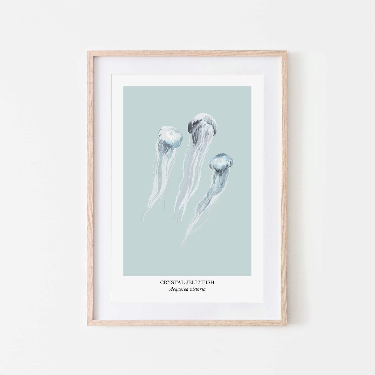 Jellyfish-Watercolour-Sea-Creature-Wall-Art-in-Shell-Blue