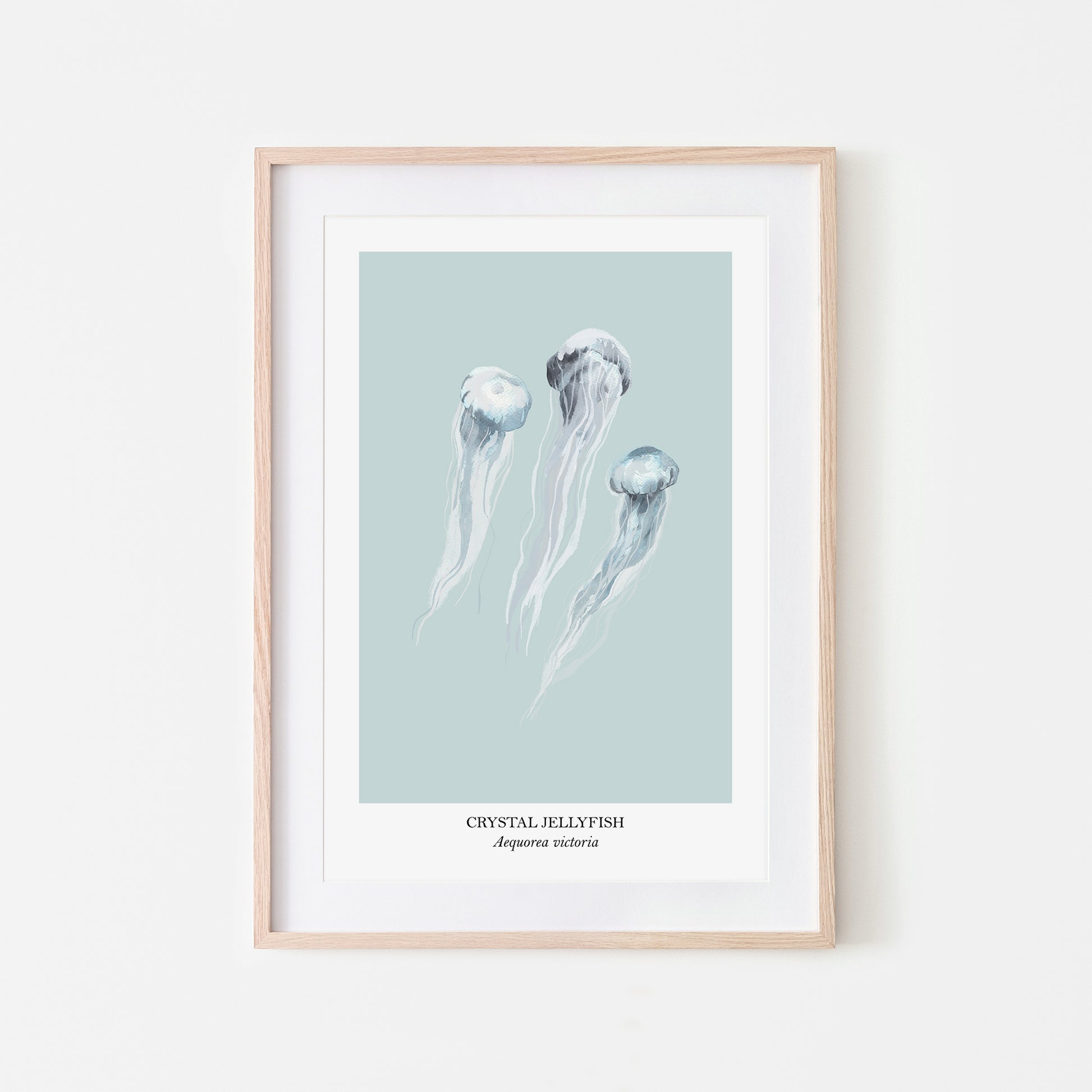 Jellyfish-Watercolour-Sea-Creature-Wall-Art-in-Shell-Blue