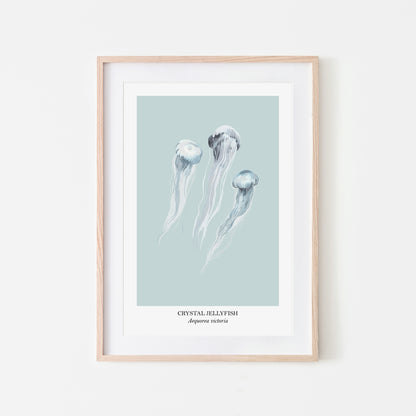 Jellyfish-Watercolour-Sea-Creature-Wall-Art-in-Shell-Blue