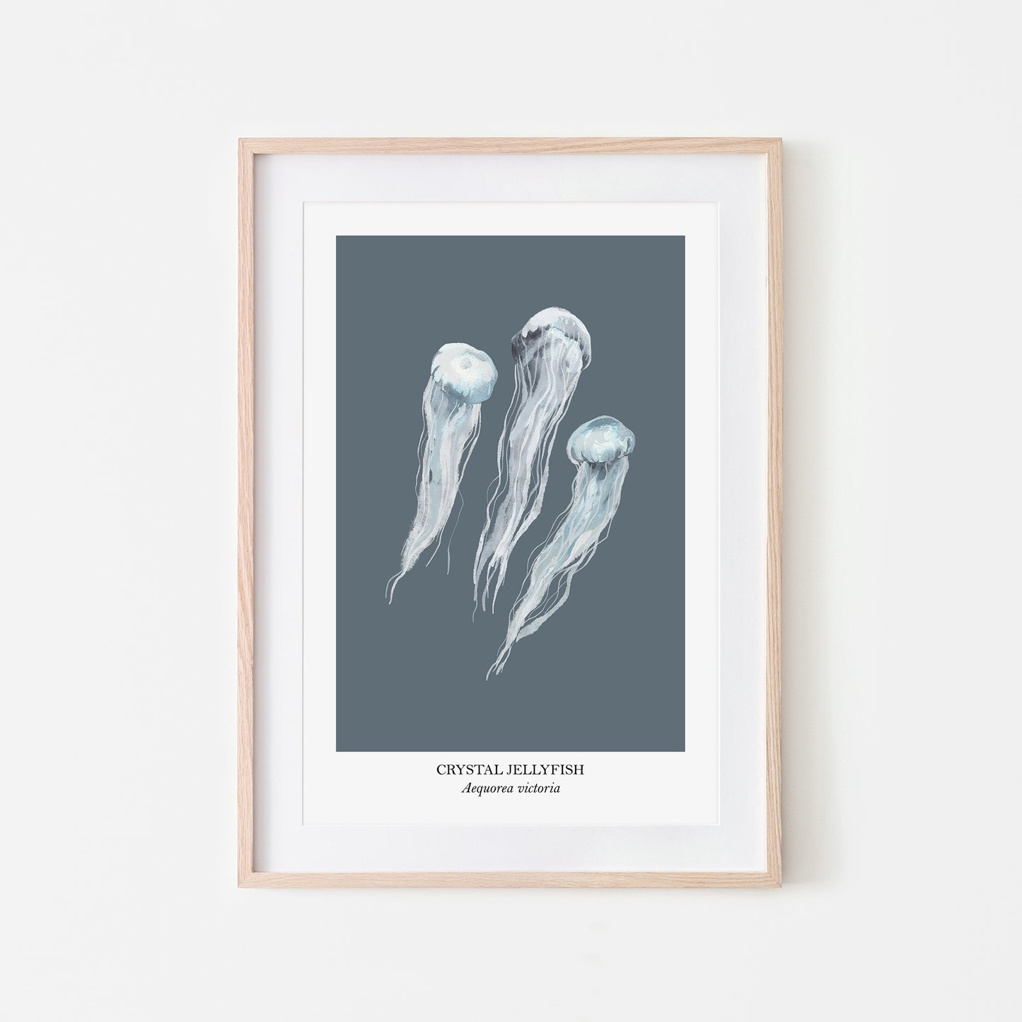 Jellyfish-Watercolour-Sea-Creature-Wall-Art-in-Sky-Blue