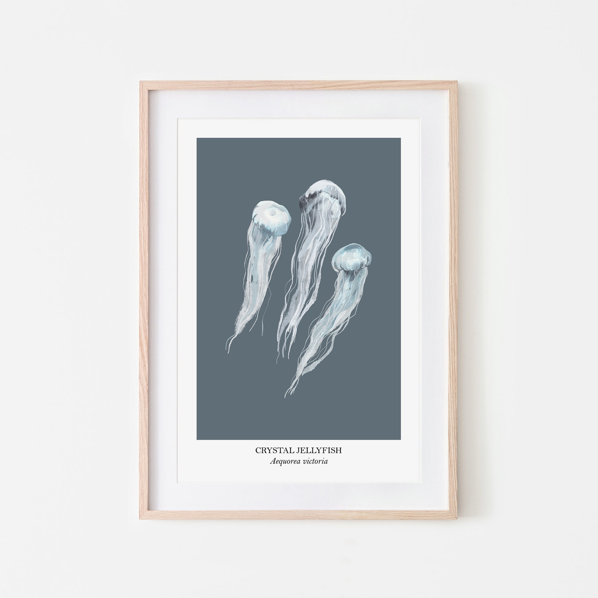 Jellyfish-Watercolour-Sea-Creature-Wall-Art-in-Sky-Blue