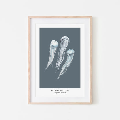 Jellyfish-Watercolour-Sea-Creature-Wall-Art-in-Sky-Blue