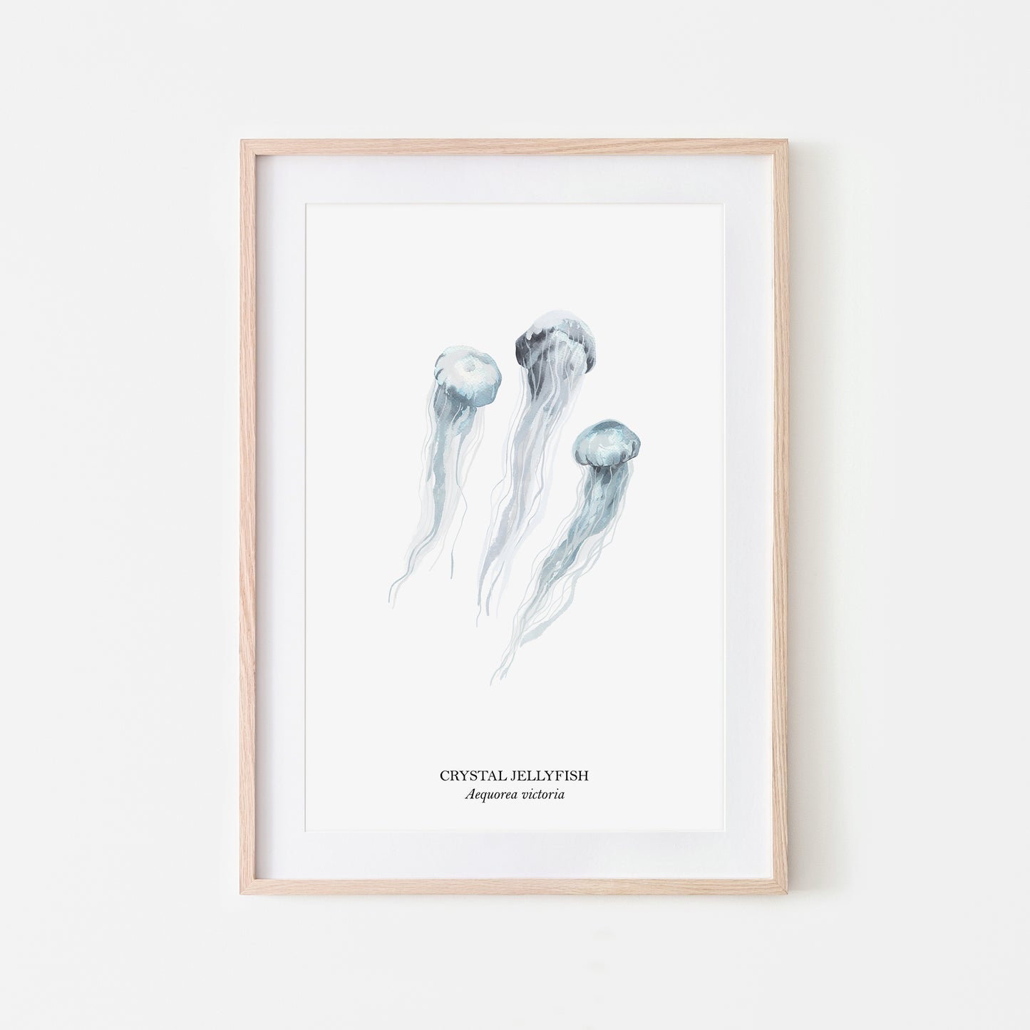 Jellyfish-Watercolour-Sea-Creature-Wall-Art-in-White