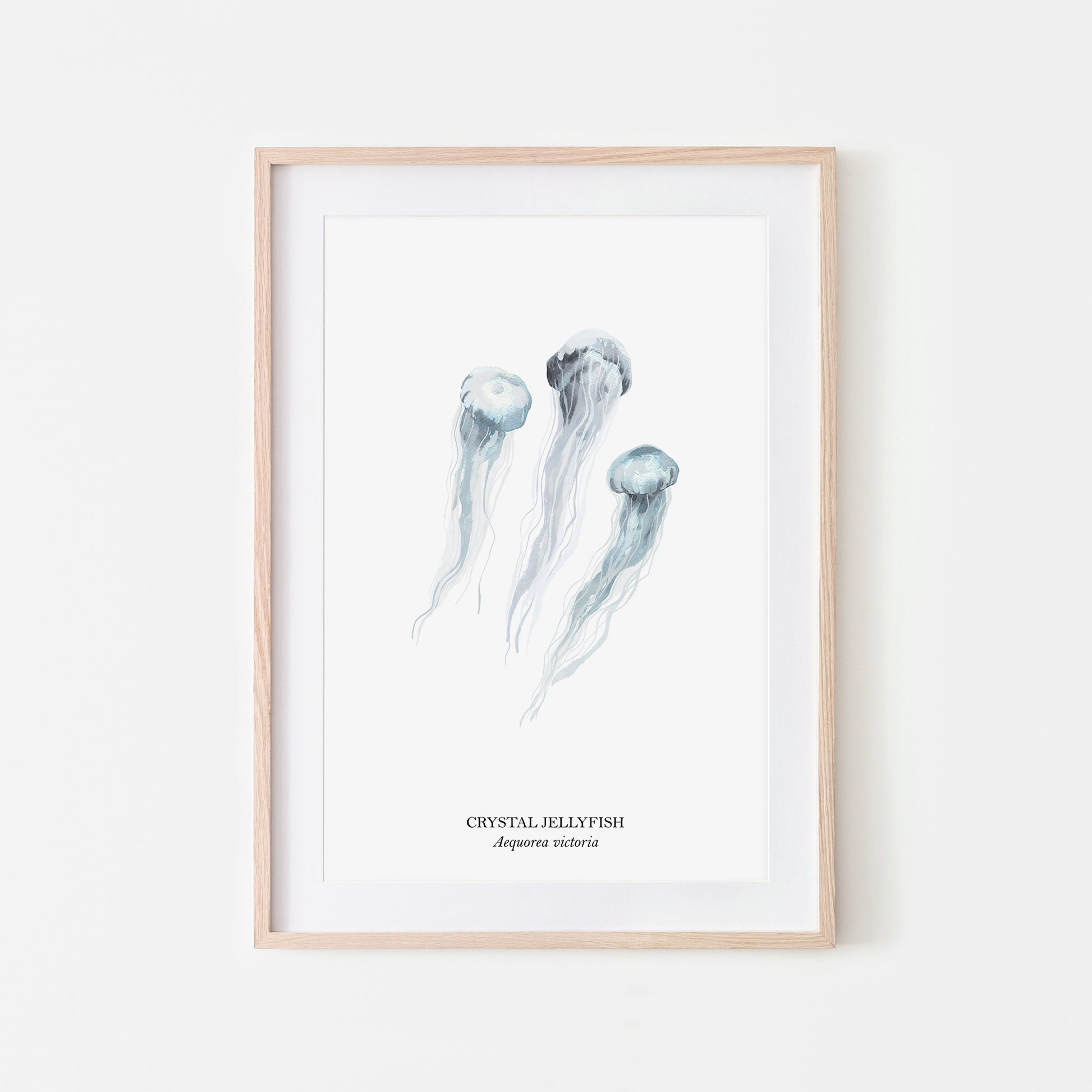 Jellyfish-Watercolour-Sea-Creature-Wall-Art-in-White