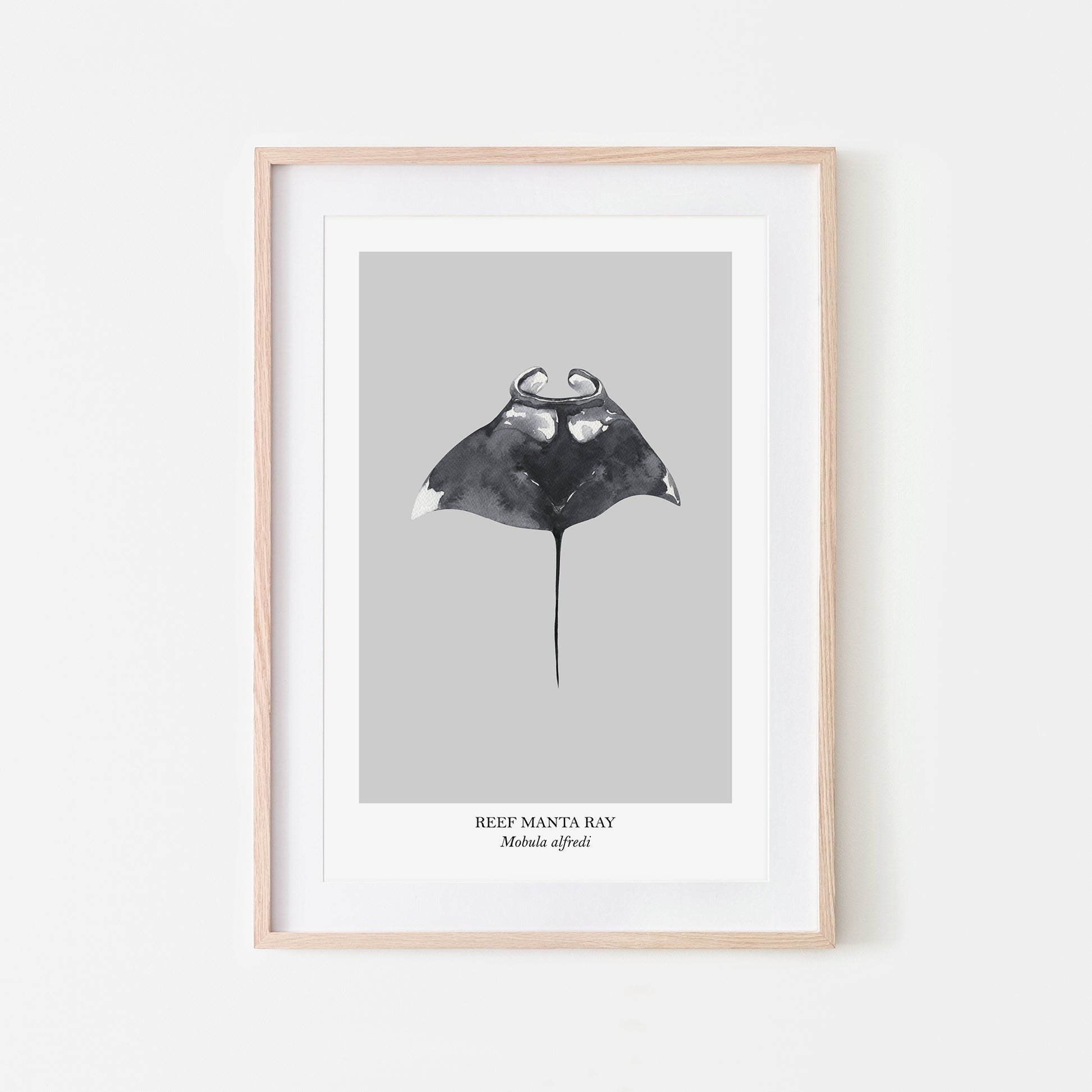 Manta-Ray-Watercolour-Sea-Creature-Wall-Art-in-Bone-Grey