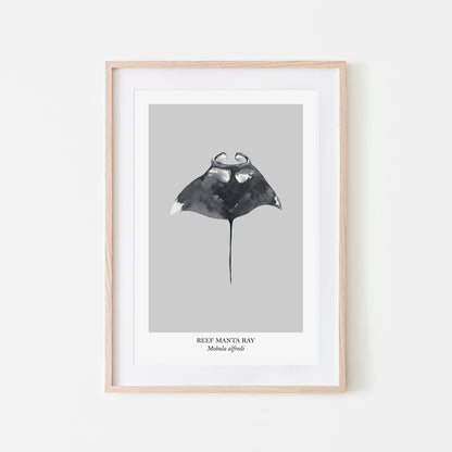 Manta-Ray-Watercolour-Sea-Creature-Wall-Art-in-Bone-Grey