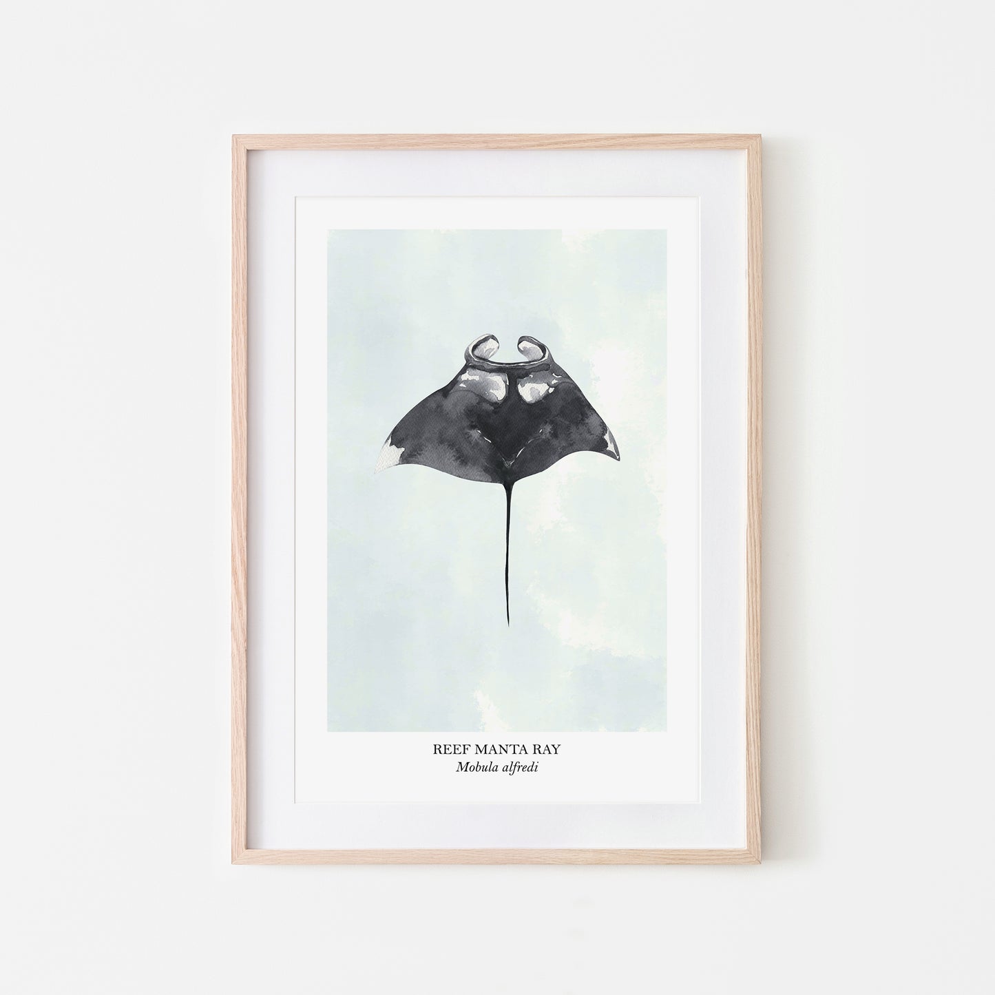 Manta-Ray-Watercolour-Sea-Creature-Wall-Art-in-Cloudy