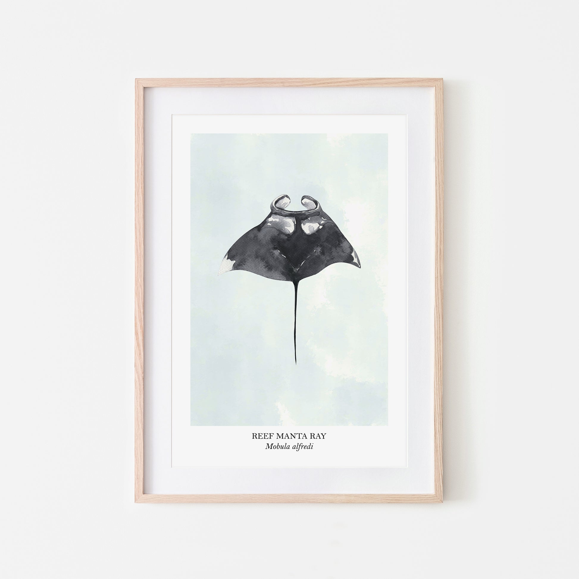 Manta-Ray-Watercolour-Sea-Creature-Wall-Art-in-Cloudy