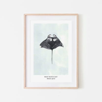 Manta-Ray-Watercolour-Sea-Creature-Wall-Art-in-Cloudy