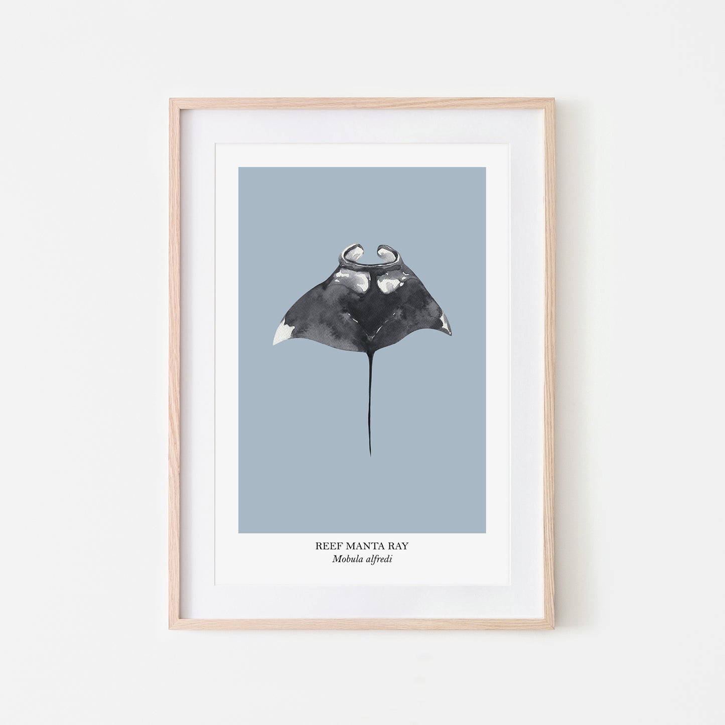 Manta-Ray-Watercolour-Sea-Creature-Wall-Art-in-Fog-Blue