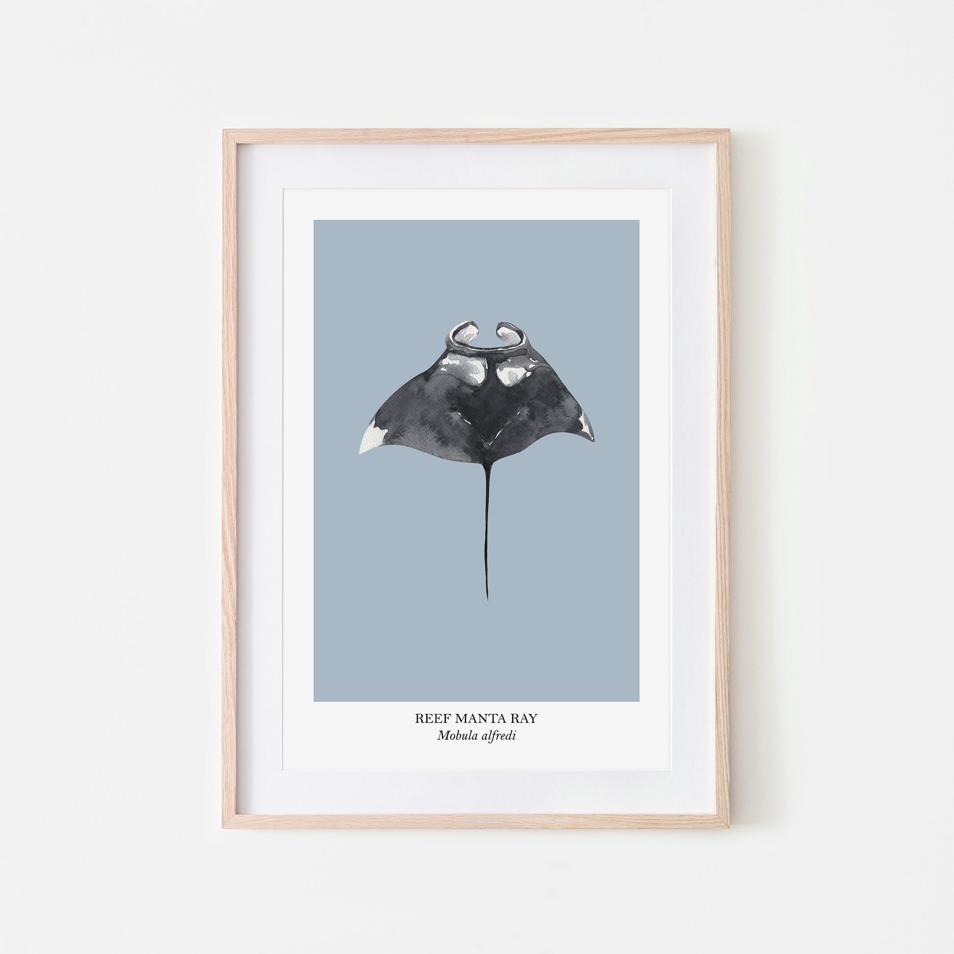 Manta-Ray-Watercolour-Sea-Creature-Wall-Art-in-Fog-Blue