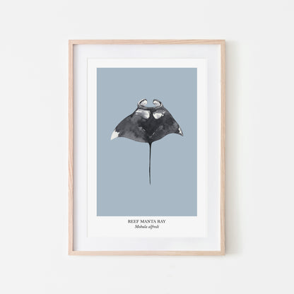 Manta-Ray-Watercolour-Sea-Creature-Wall-Art-in-Fog-Blue
