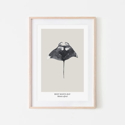 Manta-Ray-Watercolour-Sea-Creature-Wall-Art-in-Linen