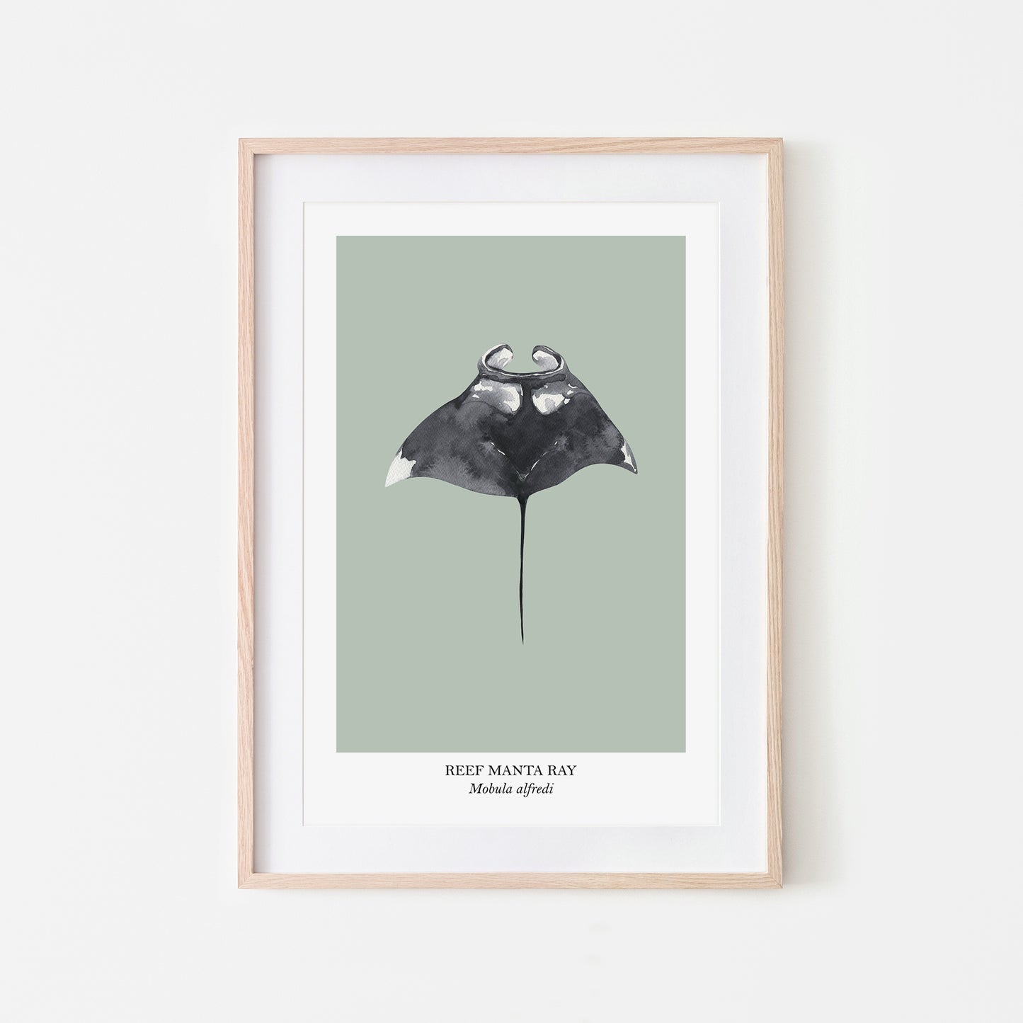 Manta-Ray-Watercolour-Sea-Creature-Wall-Art-in-Mist-Green