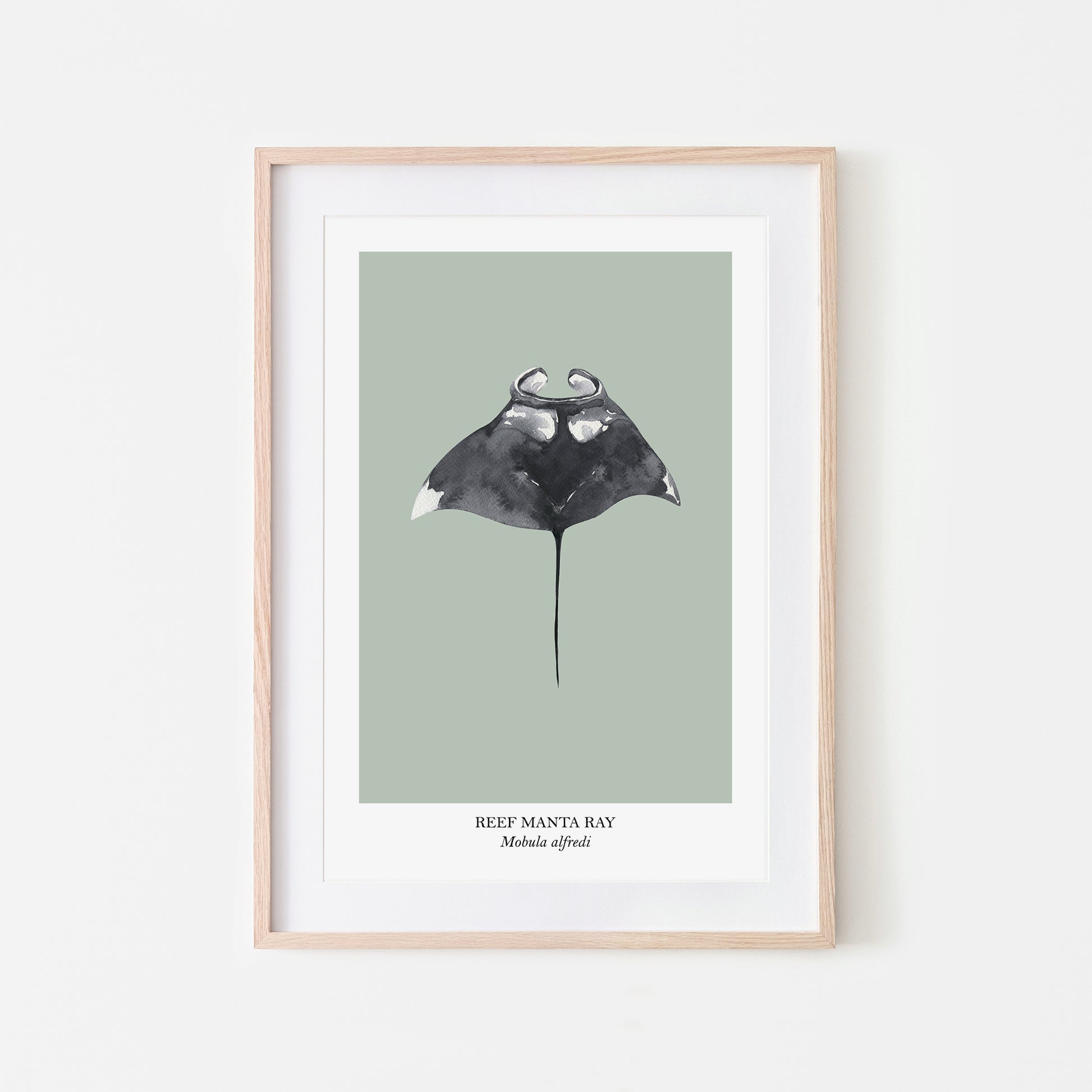 Manta-Ray-Watercolour-Sea-Creature-Wall-Art-in-Mist-Green