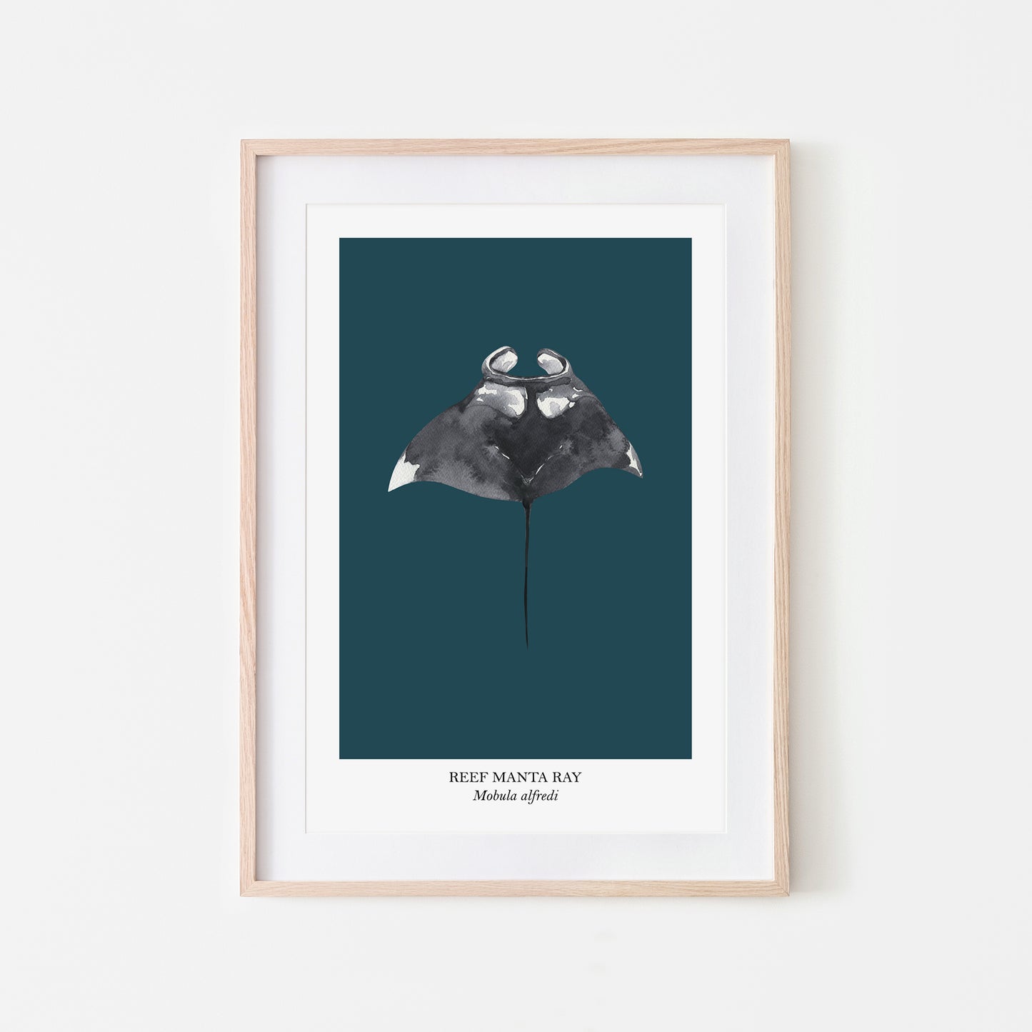 Manta-Ray-Watercolour-Sea-Creature-Wall-Art-in-Navy-Blue