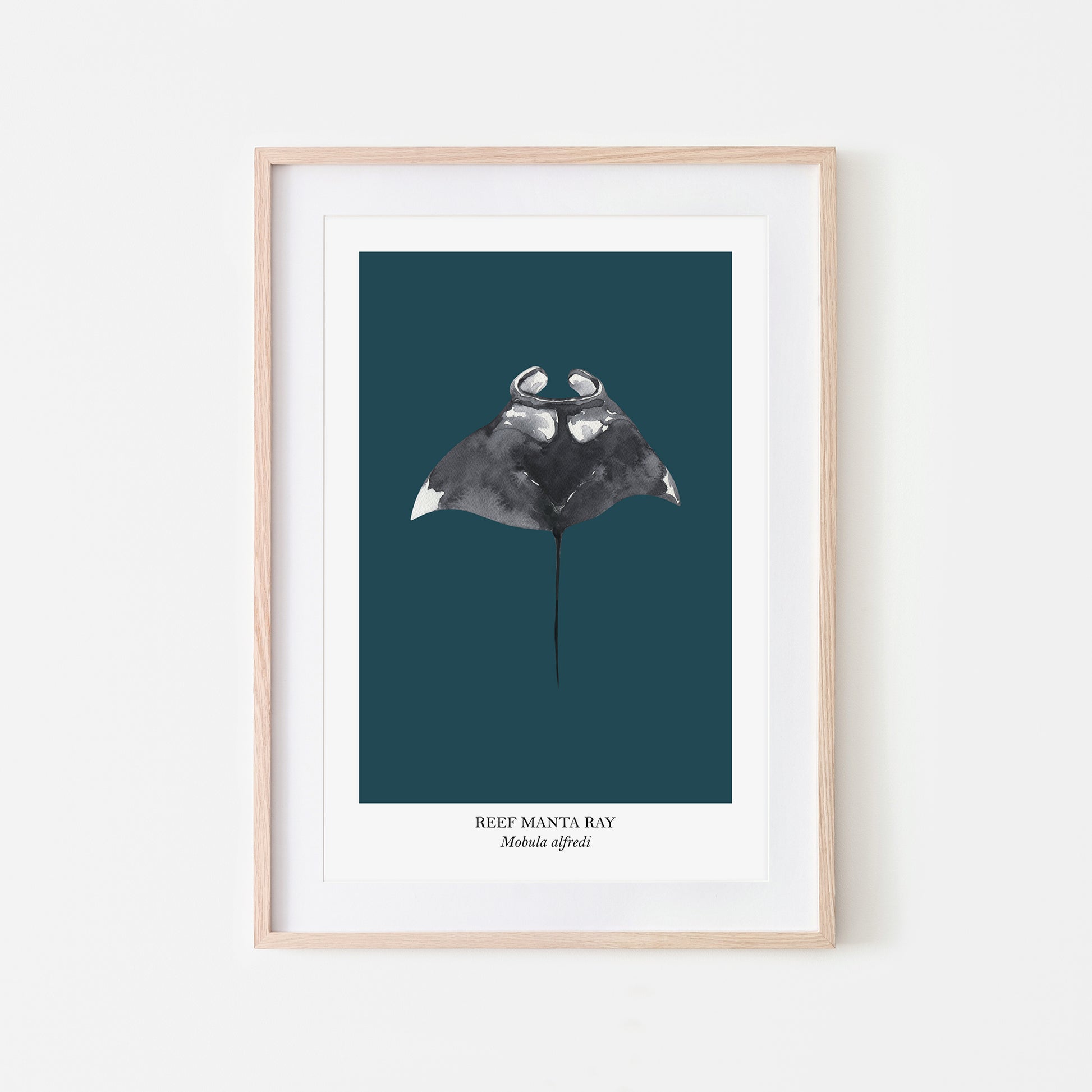 Manta-Ray-Watercolour-Sea-Creature-Wall-Art-in-Navy-Blue