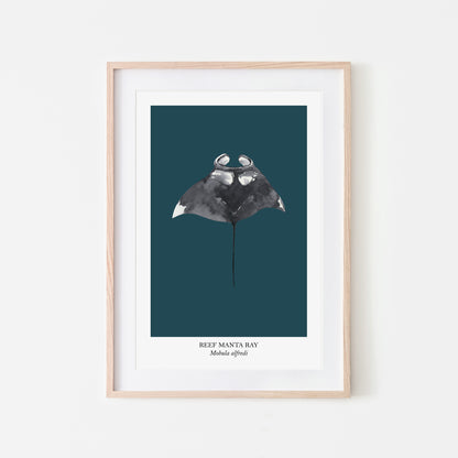 Manta-Ray-Watercolour-Sea-Creature-Wall-Art-in-Navy-Blue